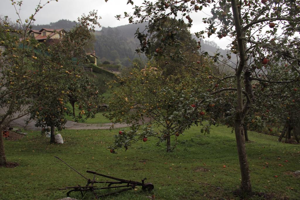 Trisqueles Y Buganvillas Villaviciosa  Eksteriør bilde